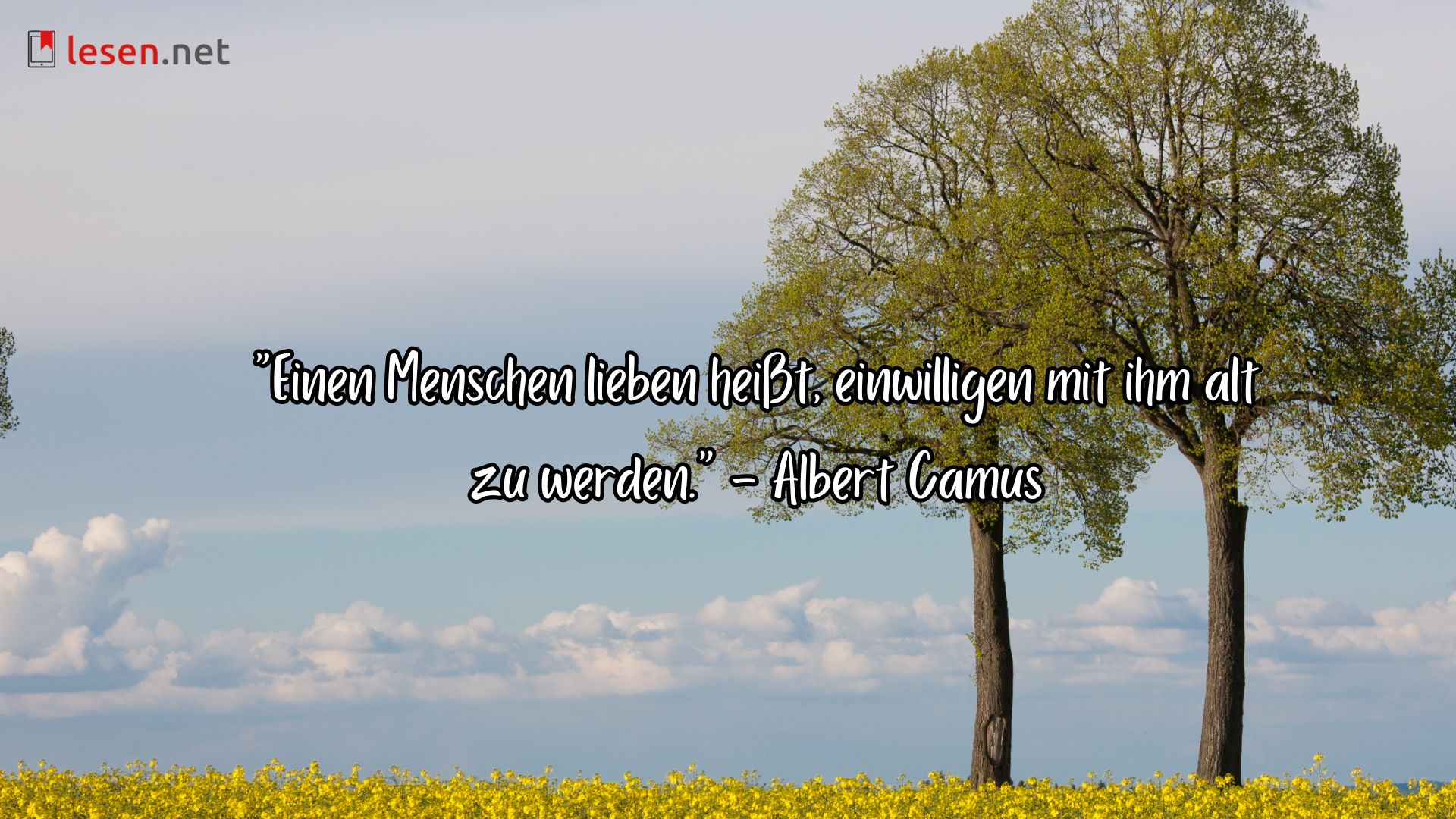 Einen Menschen lieben heißt, einwilligen mit ihm alt zu werden...