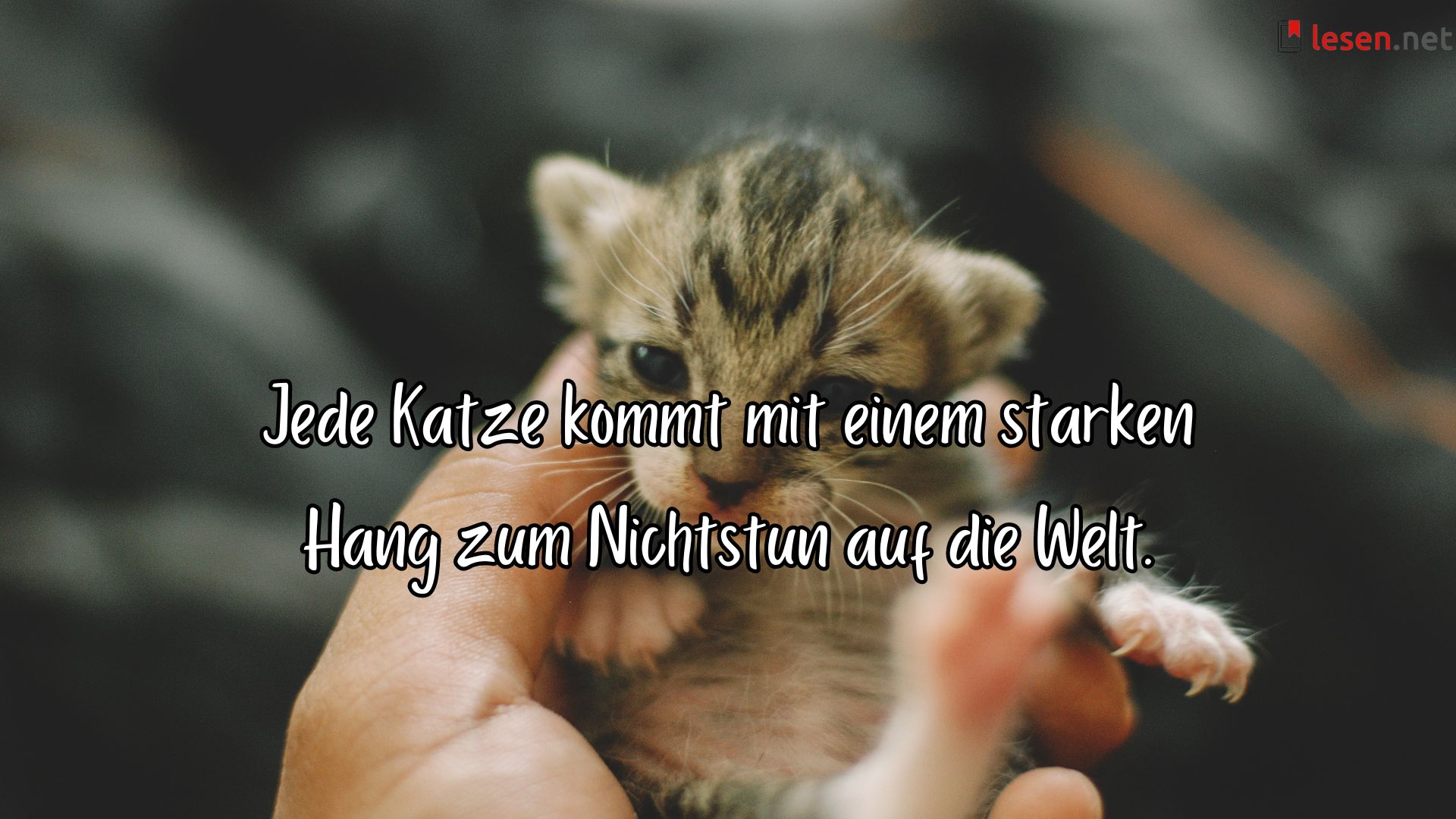 Jede Katze kommt mit einem starken Hang zum Nichtstun auf die Welt.